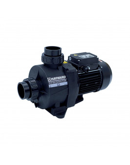 Насос Hayward HCP09101E KNG100 M.B(220В, 15.9 м3/ч, 1HP)