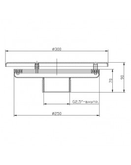 Водозабор с антивихревой крышкой д.250 2,5" (внутр.) пленка
