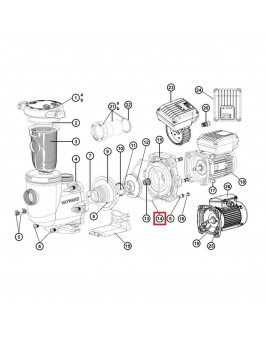 Прокладка Hayward TriStar (SPX3200T)