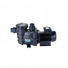 Насос Hayward PL 81006 (220В, 15 м3/ч, 1HP)